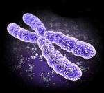 Cromosomas - Cromosomas.jpg